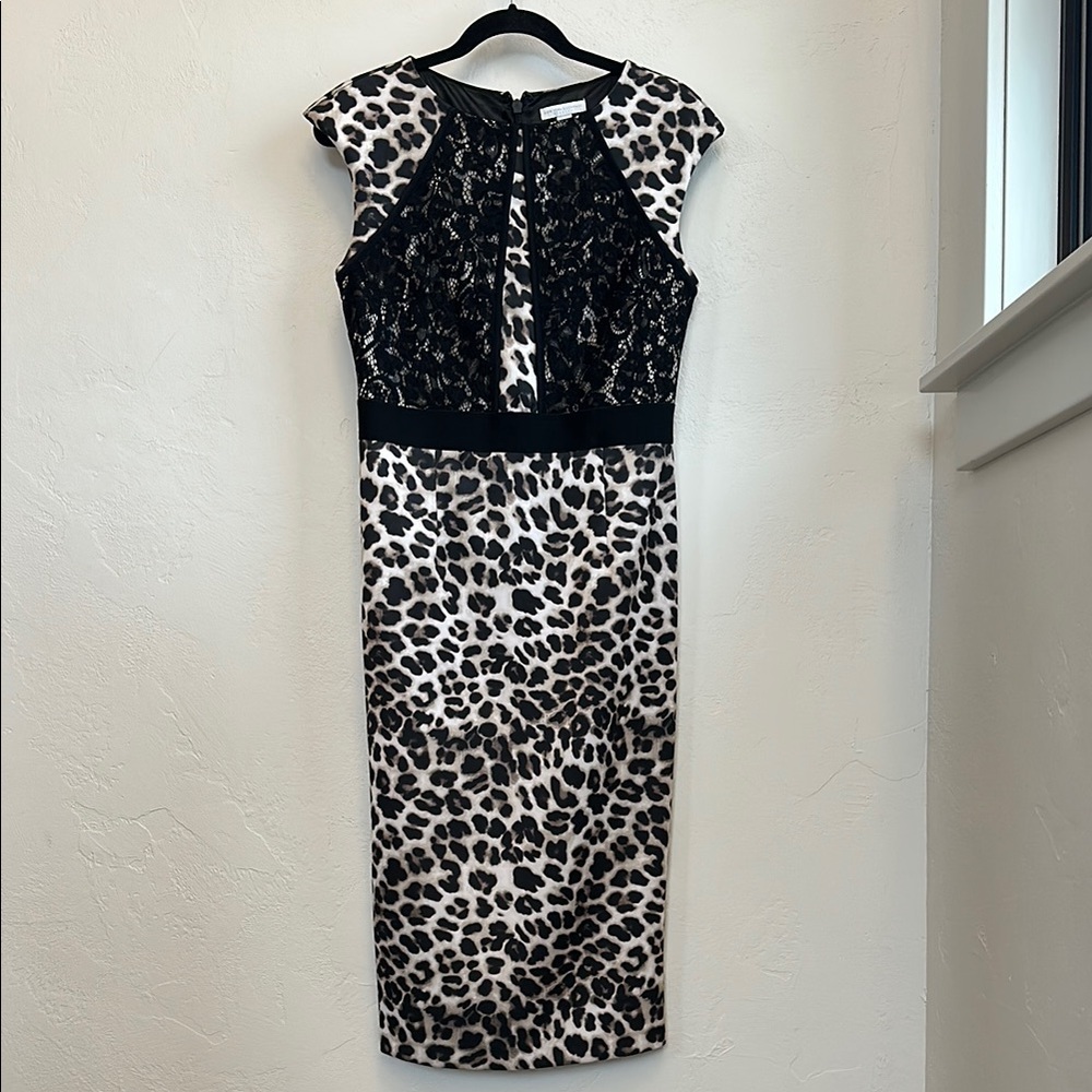 New York and Co Leopard Print Dress with Black Lace